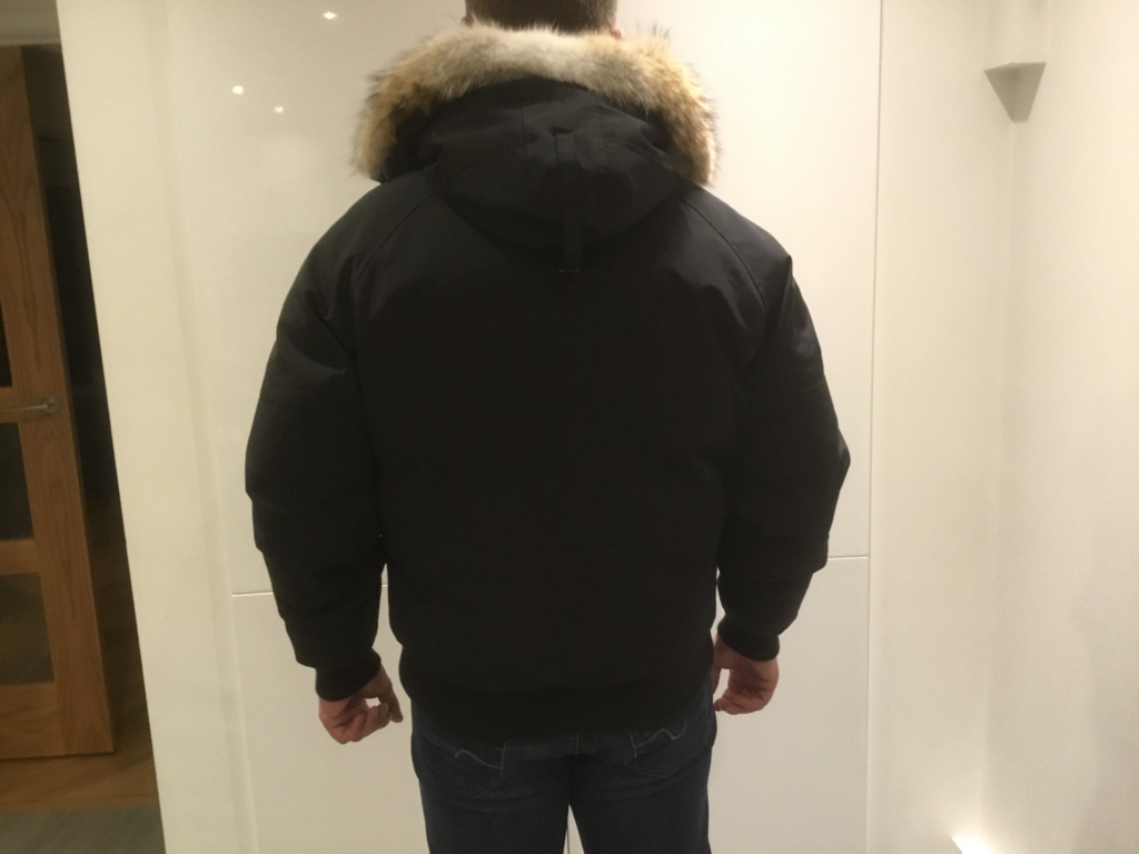 Attached picture Canada Goose 6.jpg